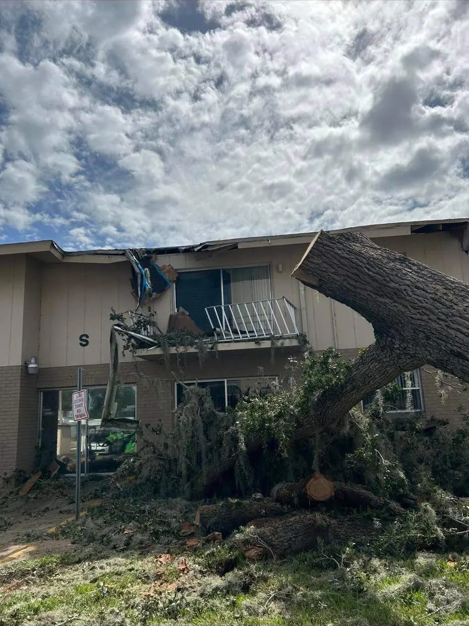 Hurricane-downed tree on a multifamily building